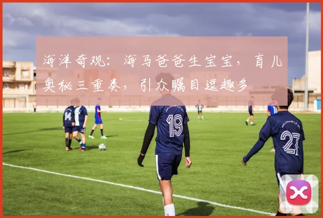 海洋奇观：海马爸爸生宝宝，育儿奥秘三重奏，引众瞩目逗趣多