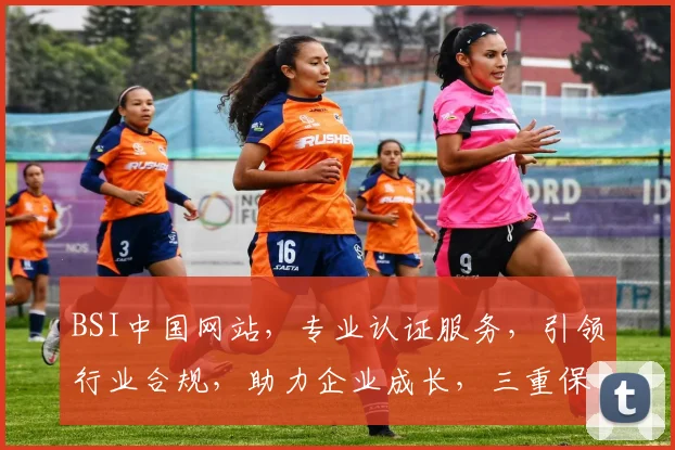 BSI中国网站，专业认证服务，引领行业合规，助力企业成长，三重保障，值得信赖。